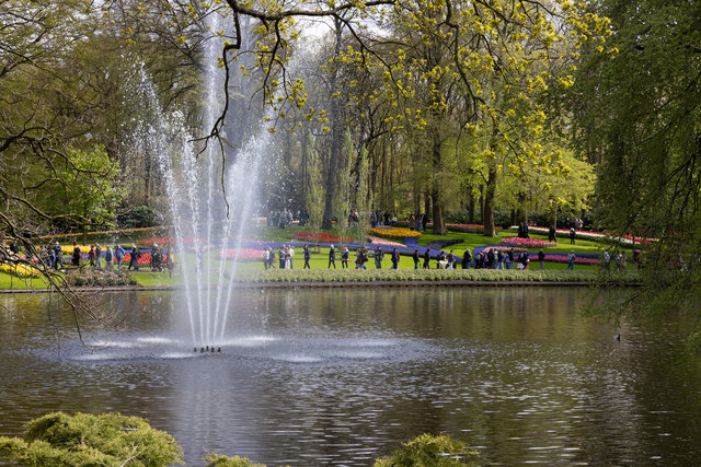 Amsterdam mama 2026-4864.jpg